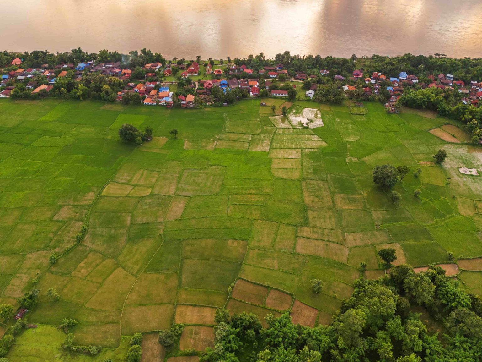 Village houses and fields seen from above in evening light.