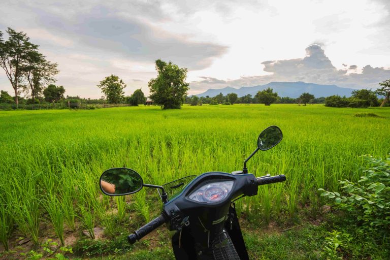 A motorbike beside the rice fields on a village track.