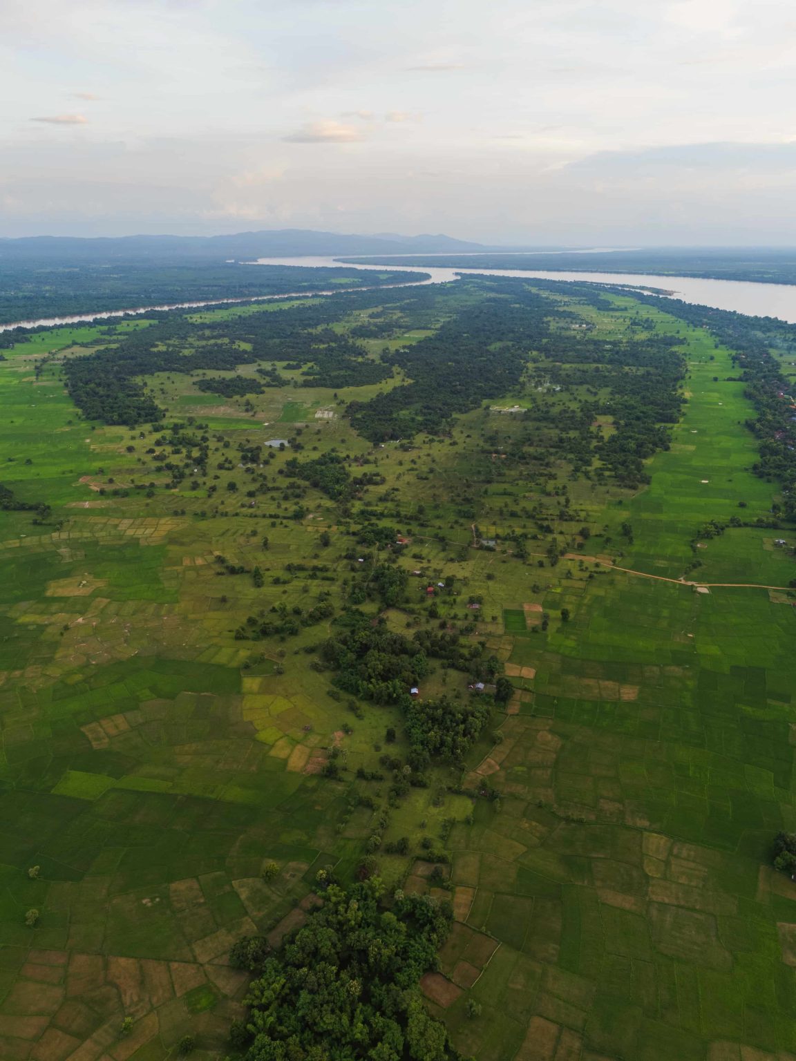 Don Daeng stretches between the channels of the Mekong.