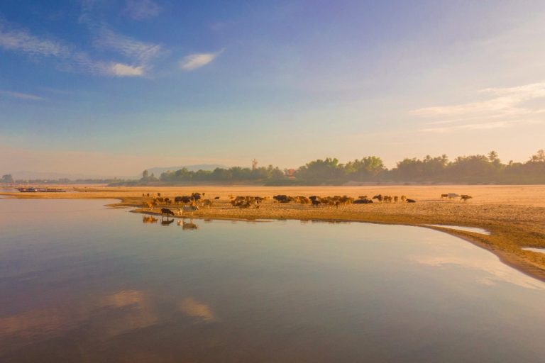 Shallow water and exposed sandbanks beside the Mekong.