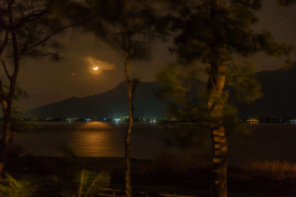 Moonlight over the river, framed by trees.